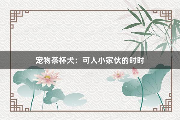 宠物茶杯犬：可人小家伙的时时